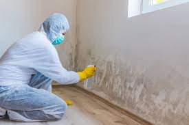 Best Commercial Mold Inspection  in Largo, FL