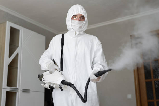 Best Mold Odor Removal Services  in Largo, FL